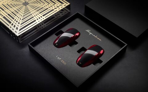 Tesla Model S Signature Key Fob Image 1