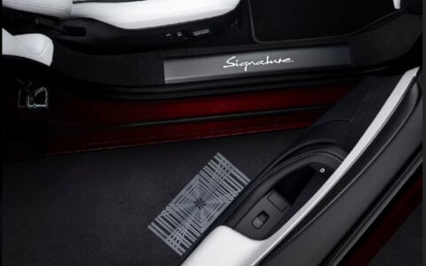 Tesla Model S Signature Plate Puddle Image 1