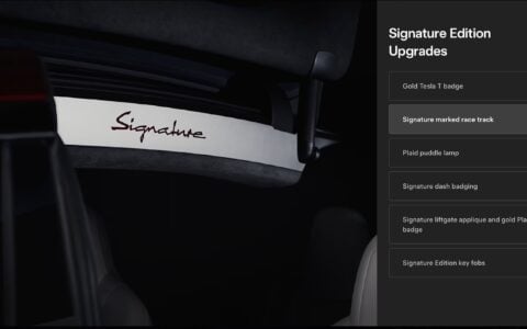 Tesla-model-x-signature-falcon-wings-race-track